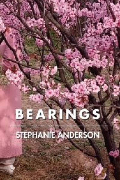 Bearings by Prof. Stephanie Anderson